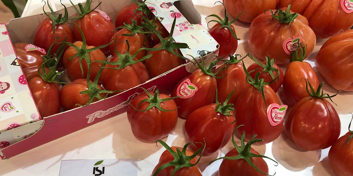 Sementi, i due orizzonti della ricerca